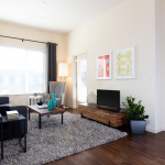 san jose apartment furnished