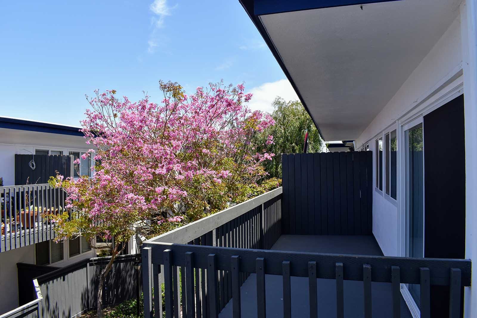 Americana South Bay - Sample Image of Torrance, CA Intern Housing