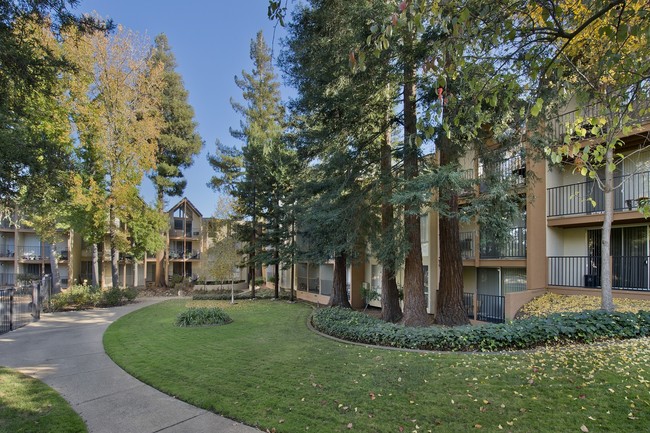 Atrium Downtown Serviced Home-Sample Image of Walnut Creek CA Intern Rental