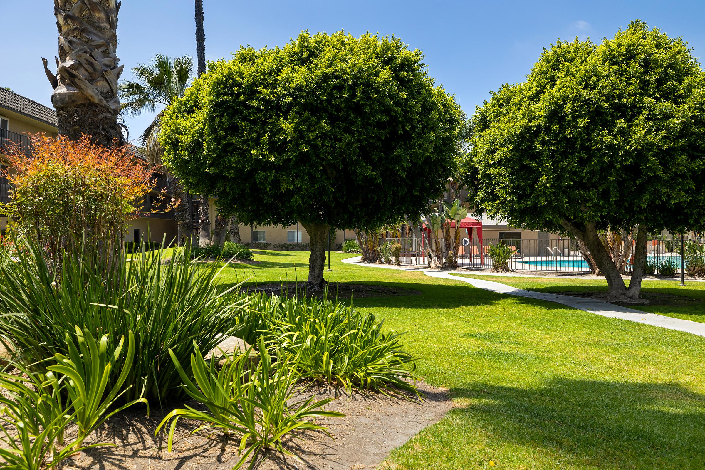 Coronado Palms sample image of Anaheim CA short term housing