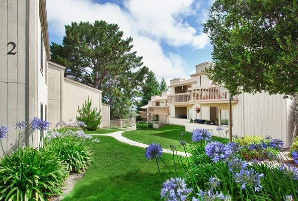 Footprints on the Bay - Sample Image of Monterey, CA Short Term Housing