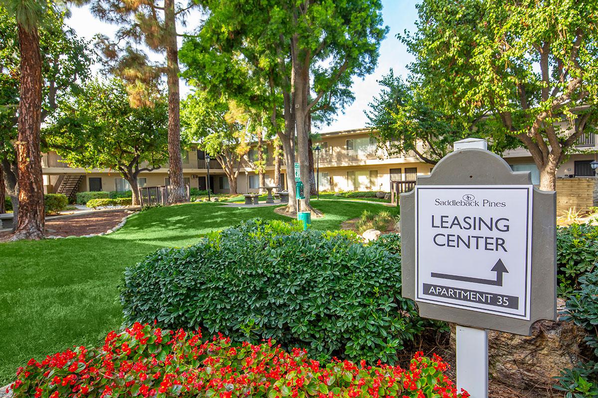 Saddleback Pines sample image of Fullerton CA short term housing