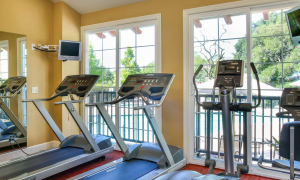 Santa Rosa has short-term rentals for a more comfortable stay for a business traveler, such as check out these treadmills.